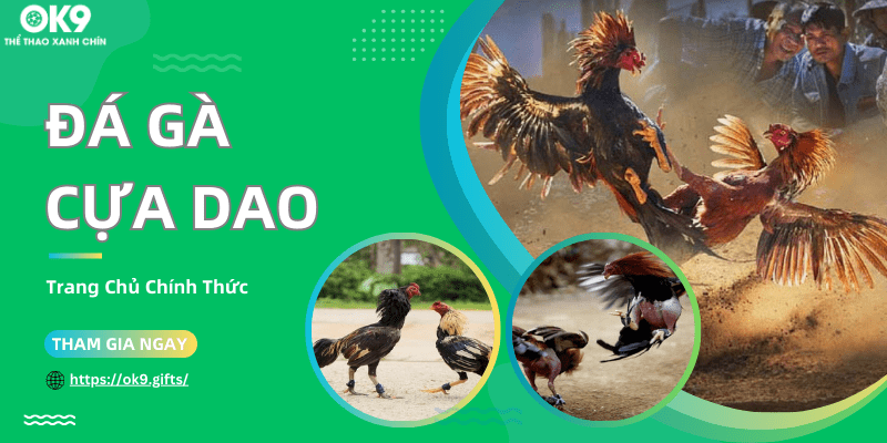 Đá Gà Cựa Dao OK9