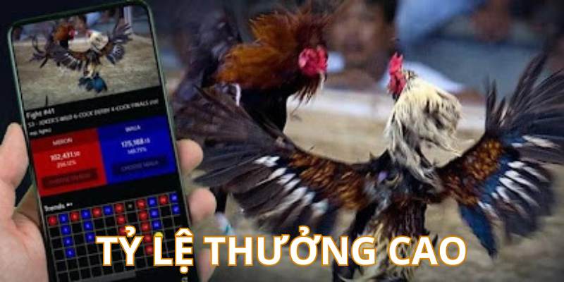 Tỷ lệ thưởng đá gà online