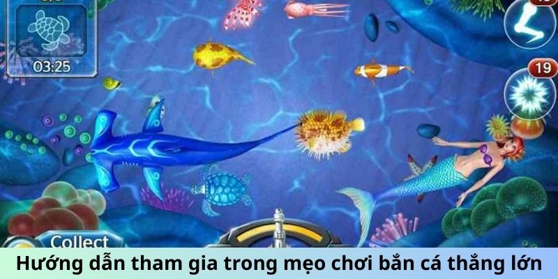 Hướng dẫn chơi bắn cá