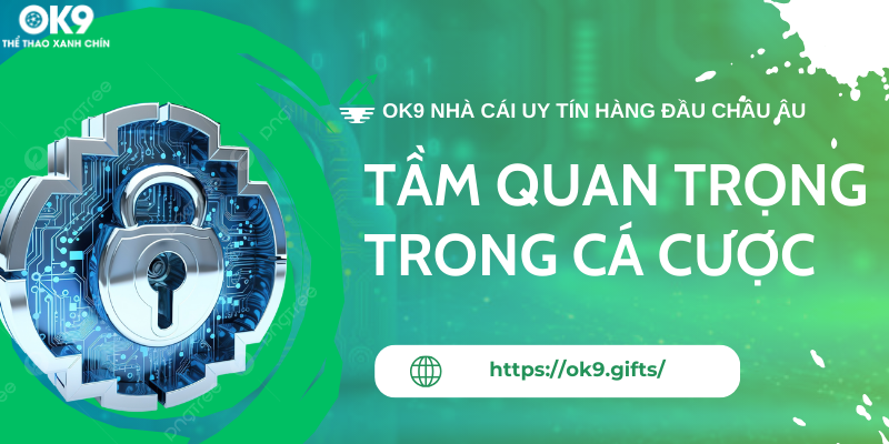 TẦM QUAN TRỌNG