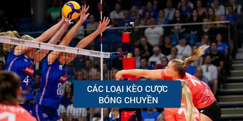 cac-loai-keo-trong-ca-do-bong-chuyen