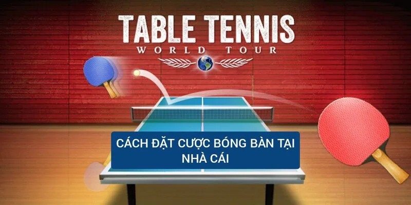 cach-dat-cuoc-bong-ban-tai-nha-cai