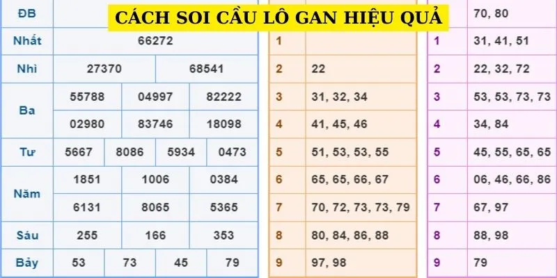 cach-soi-cau-lo-gan-hieu-qua