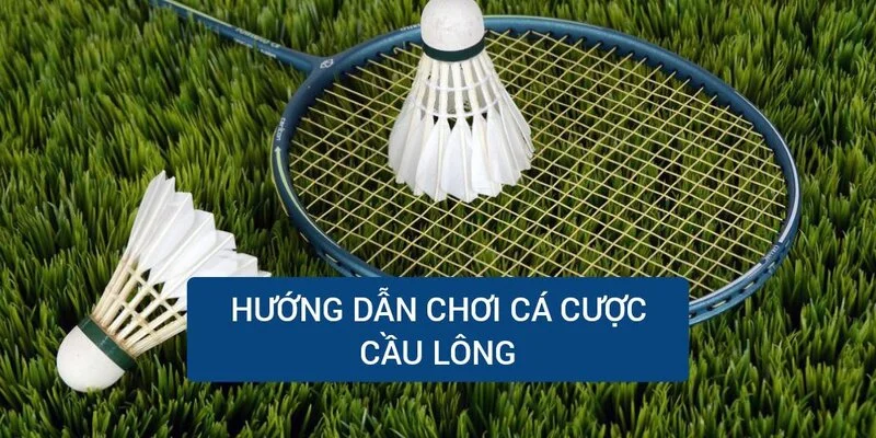 huong-dan-choi-ca-cuoc-cau-long