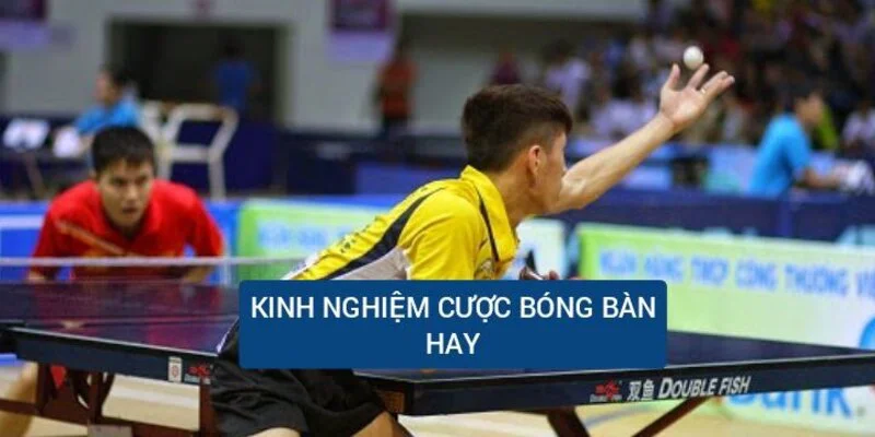 kinh-nghiem-cuoc-bong-ban