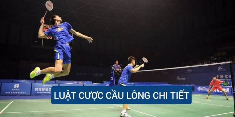 luat-cuoc-cau-long-chi-tiet