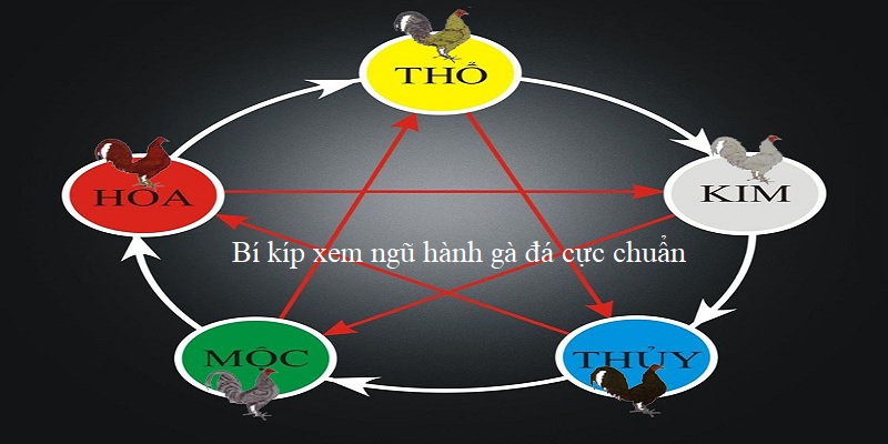 Bí kíp áp dụng