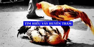 tim-hieu-vay-huyen-tram