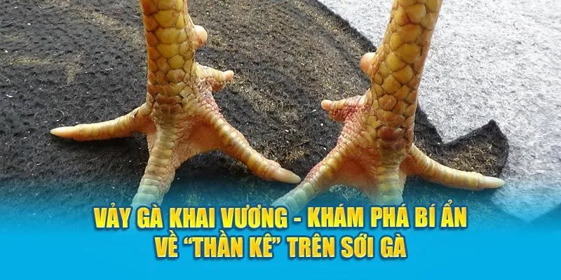 vay-khai-vuong-la-gi